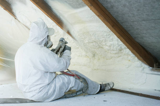 Best Fireproof Insulation  in Ricardo, TX